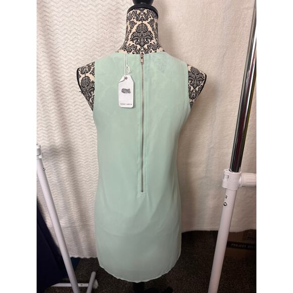 BN #15 NWT Naked Zebra Sleeveless Mint Green Shift Dress Size S - Picture 1 of 6